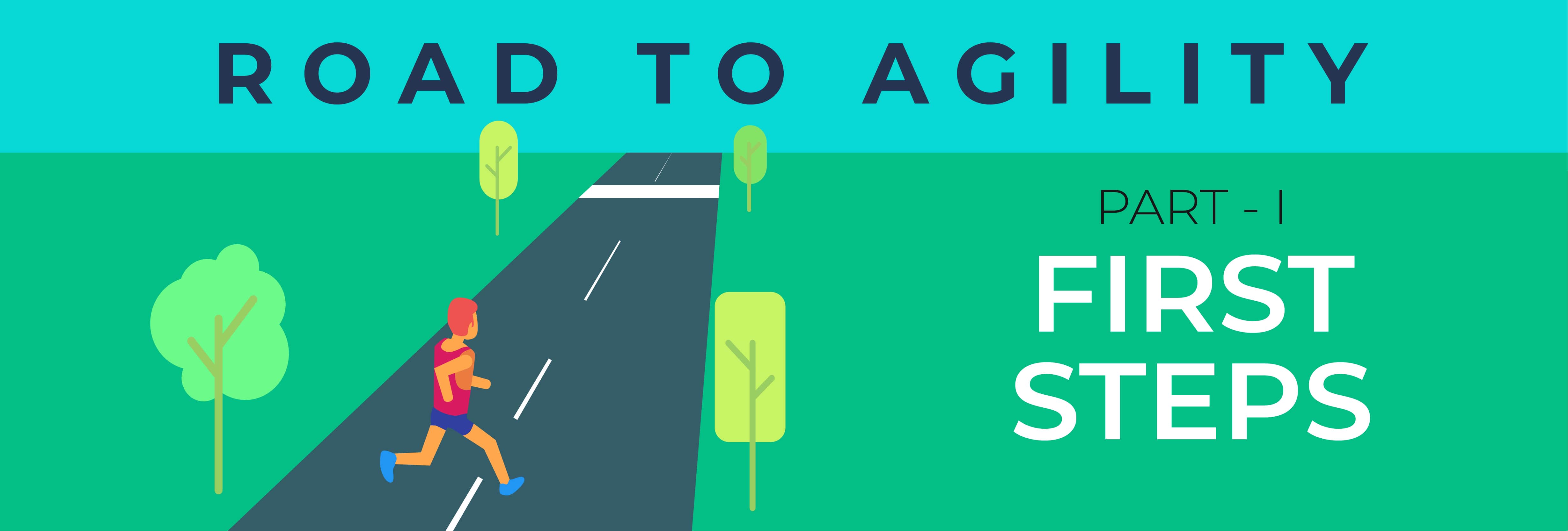 Making Your Organization Agile: First Steps