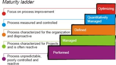 project management maturity