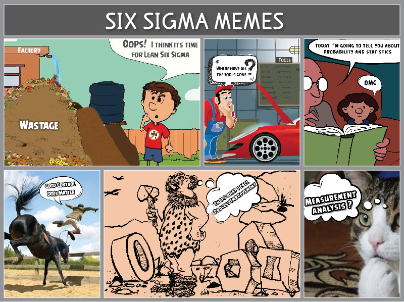 Lean Six Sigma professional work process