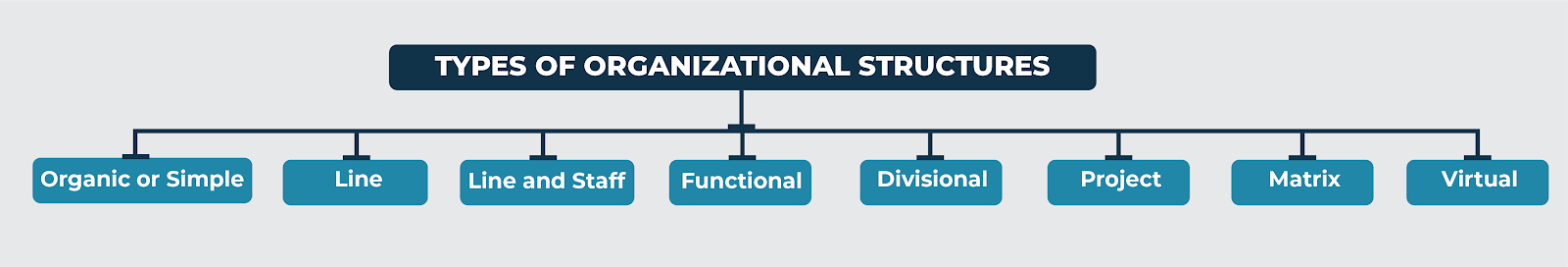 Types of Organizational Structures