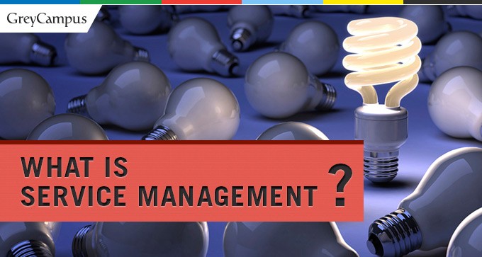 What Is Service Management