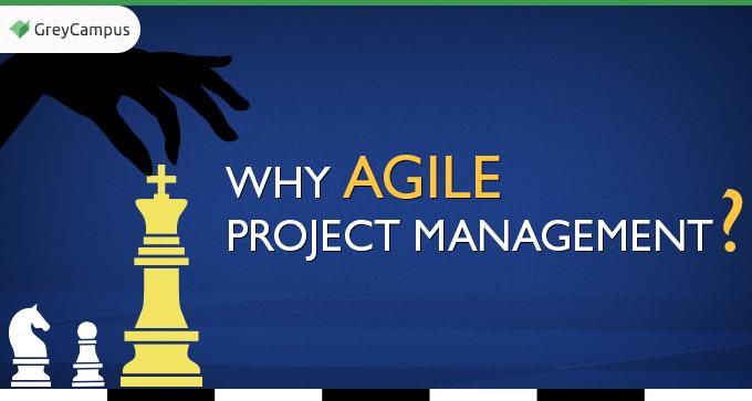 Why Agile Project Management