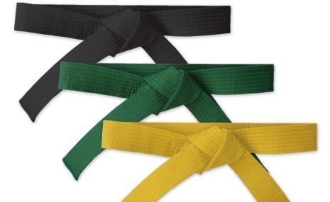 six sigma belts