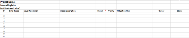 Issue log sample template