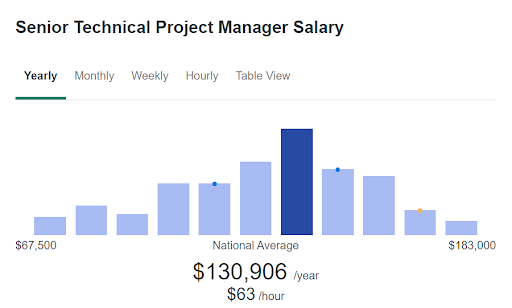 Senior Technical Project Manager Salary