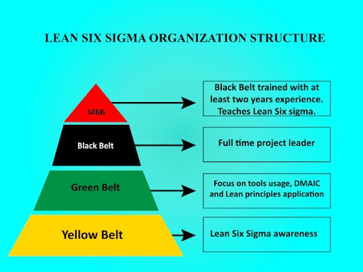 Lean Six Sigma Organization Structure