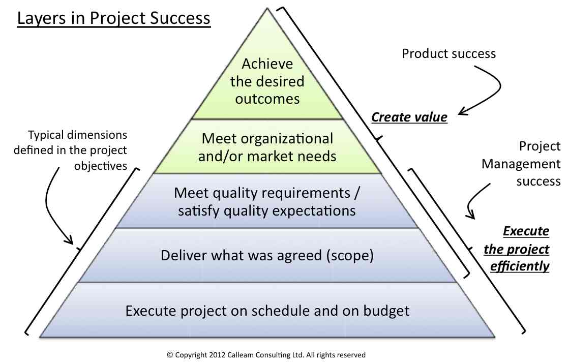 project success reasons