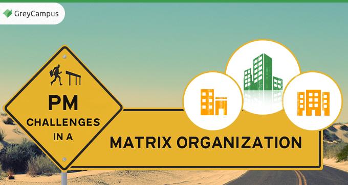 PM challenges in a Matrix Organization