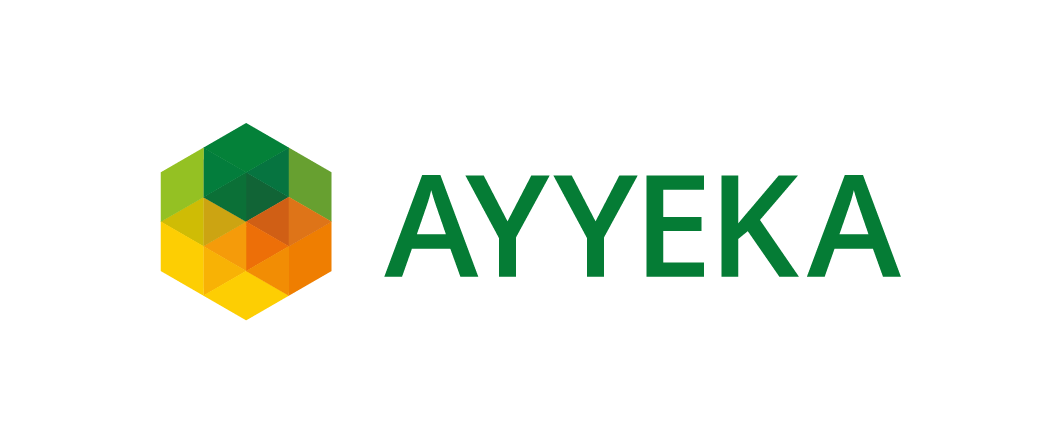 Logo Ayyeka