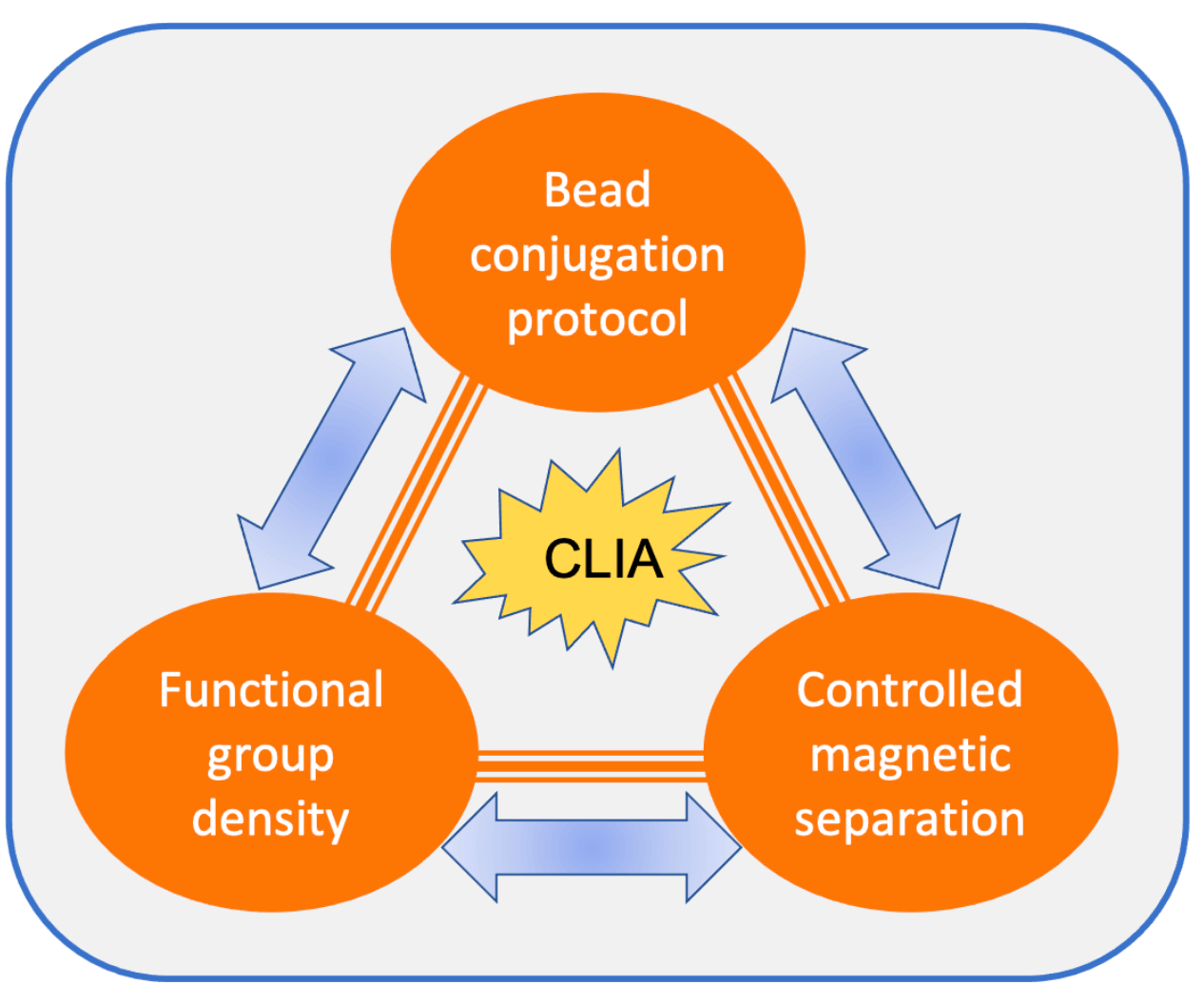 Guide for successful magnetic bead conjugation