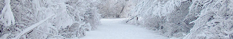 February 2021 SCOOP eNewsletter February 2021 SCOOP eNewsletter