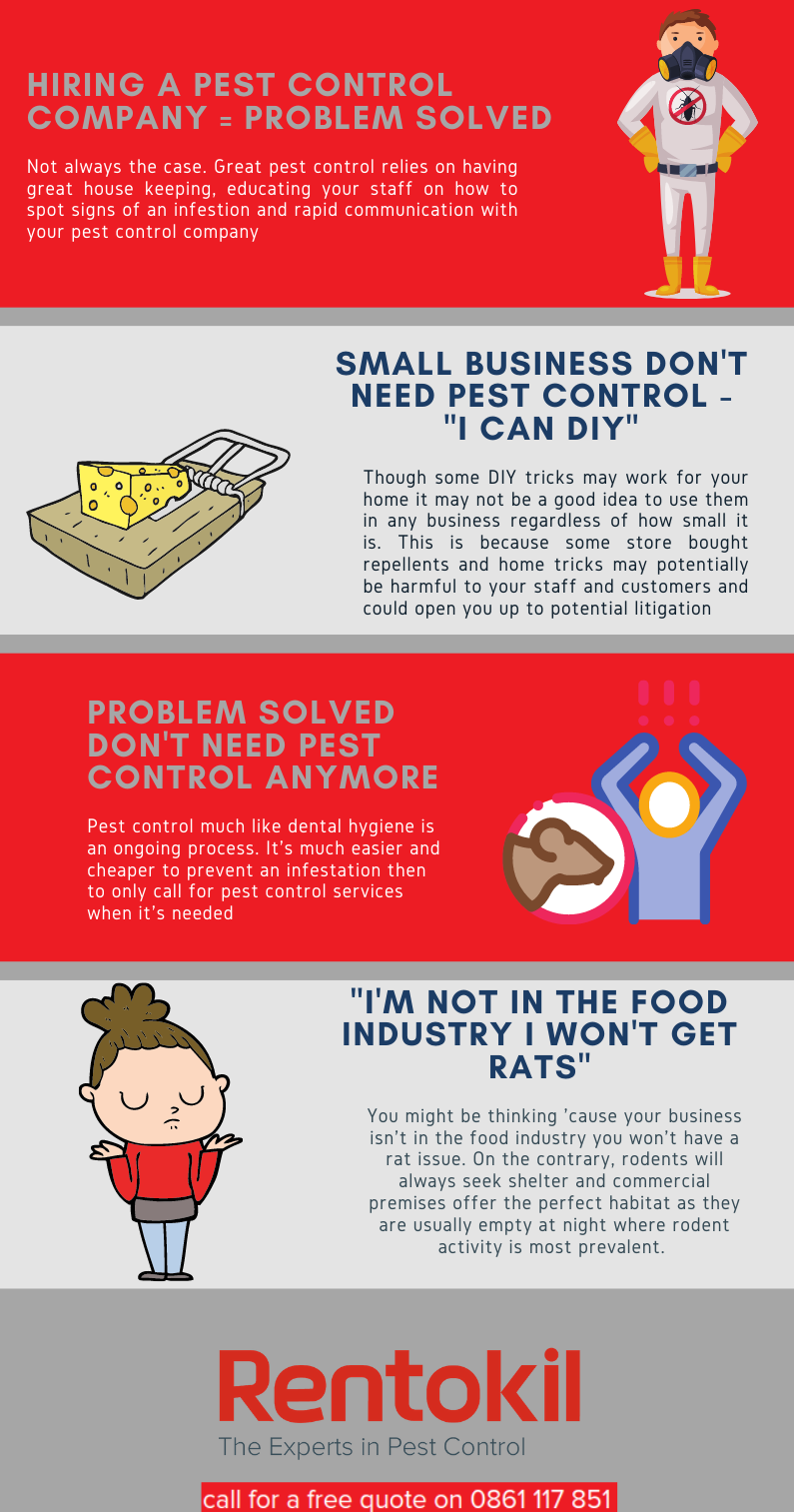 Commercial rat and mice control myths - why you need professional rodent control for your business