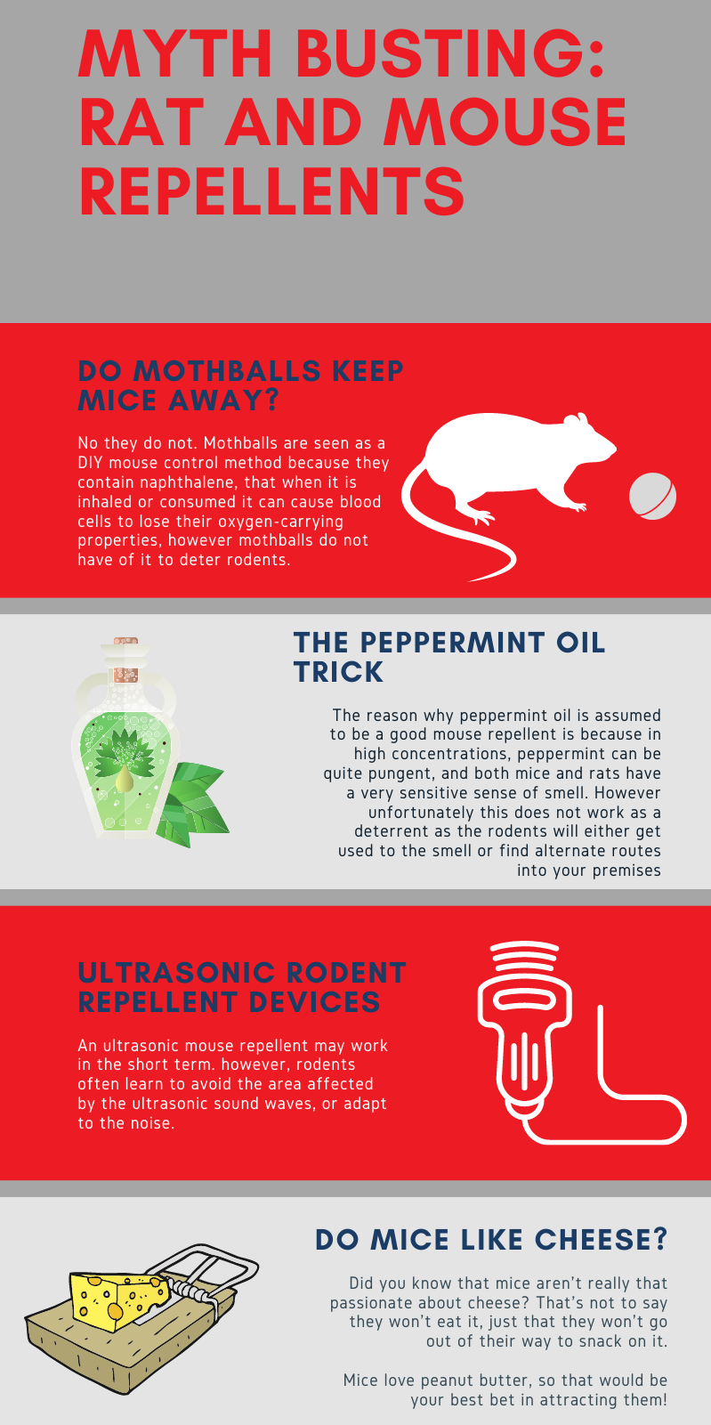 Myth Busting Rat and Mouse Repellents Infographic - summary of repellent myths
