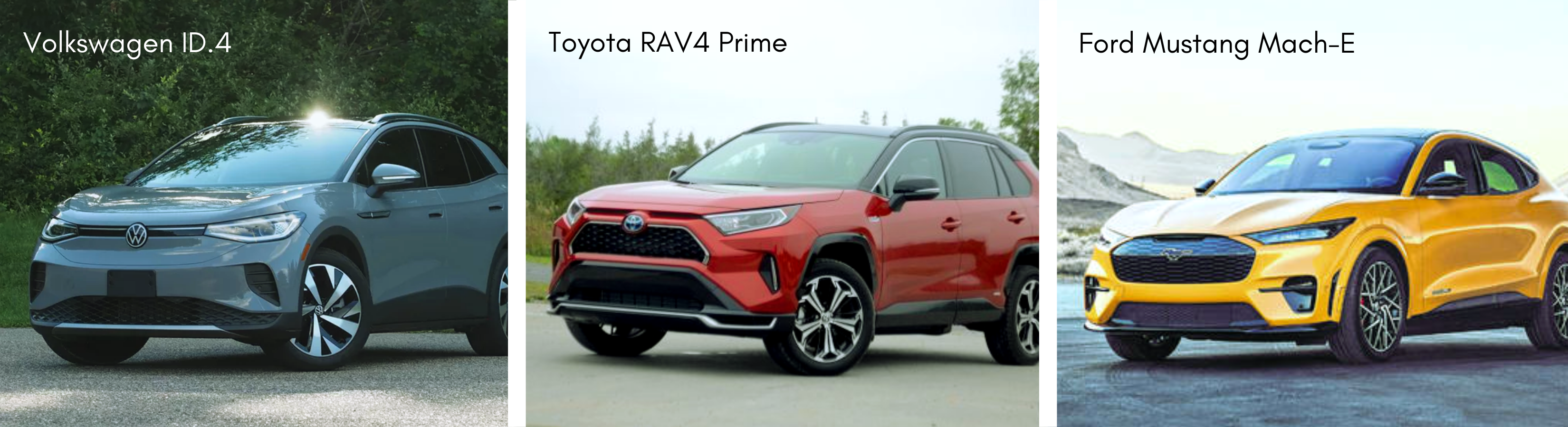 EV Waitlist