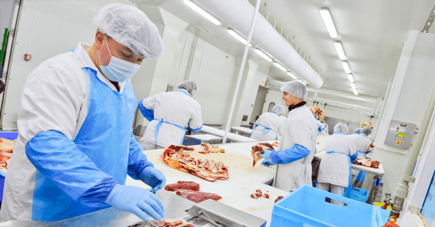 Meat Factory Workers