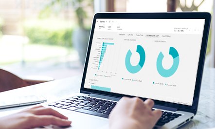 Provide rental insights and information to customers-1