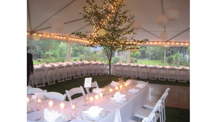 tent lighting worth the cost. Goodshuffle Pro.
