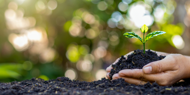 How to attract an environmentally conscious workforce