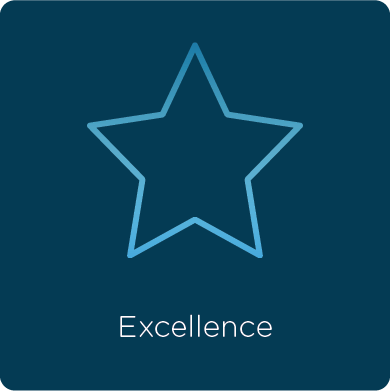 ICON-VALUE-EXCELLENCE-BLUEBOX