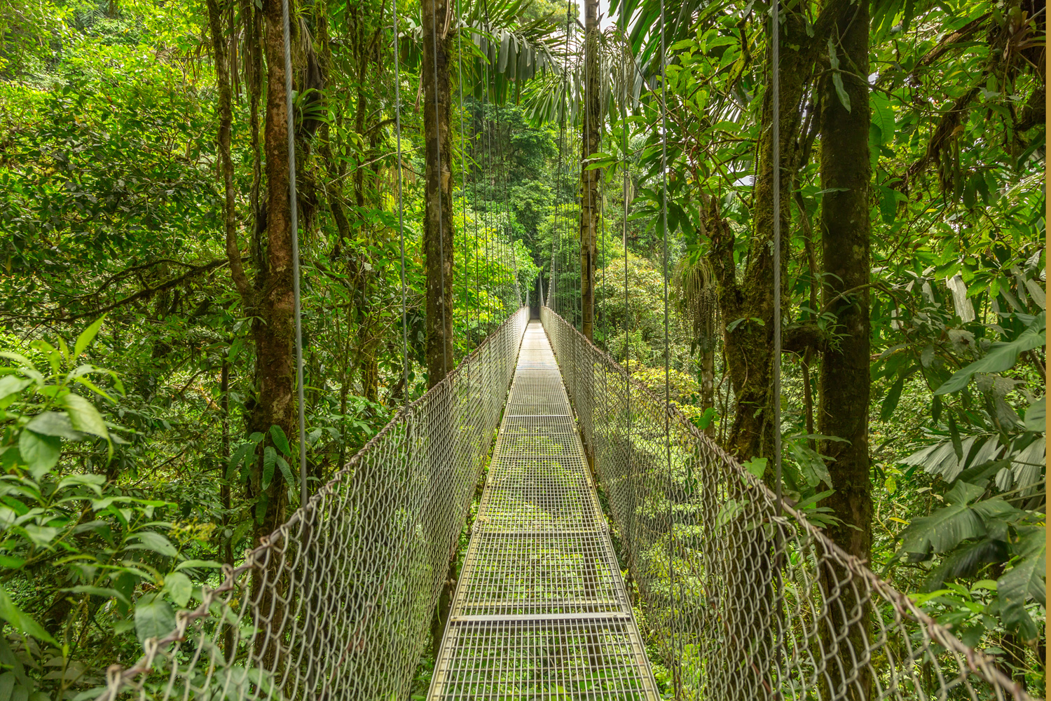 costa rica_hanging bridges iStock-517511066 1500x1000
