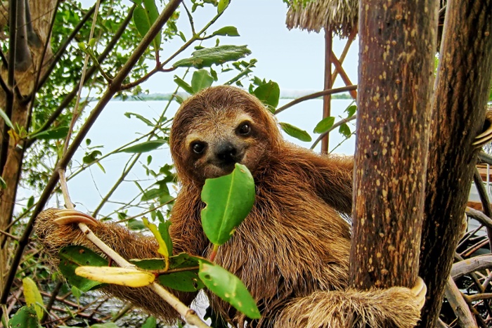 costa rica | Family Travel Destinations | Keytours Vacations