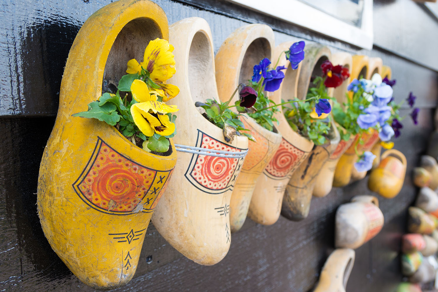 clogs shutterstock_287598158 1500x1000