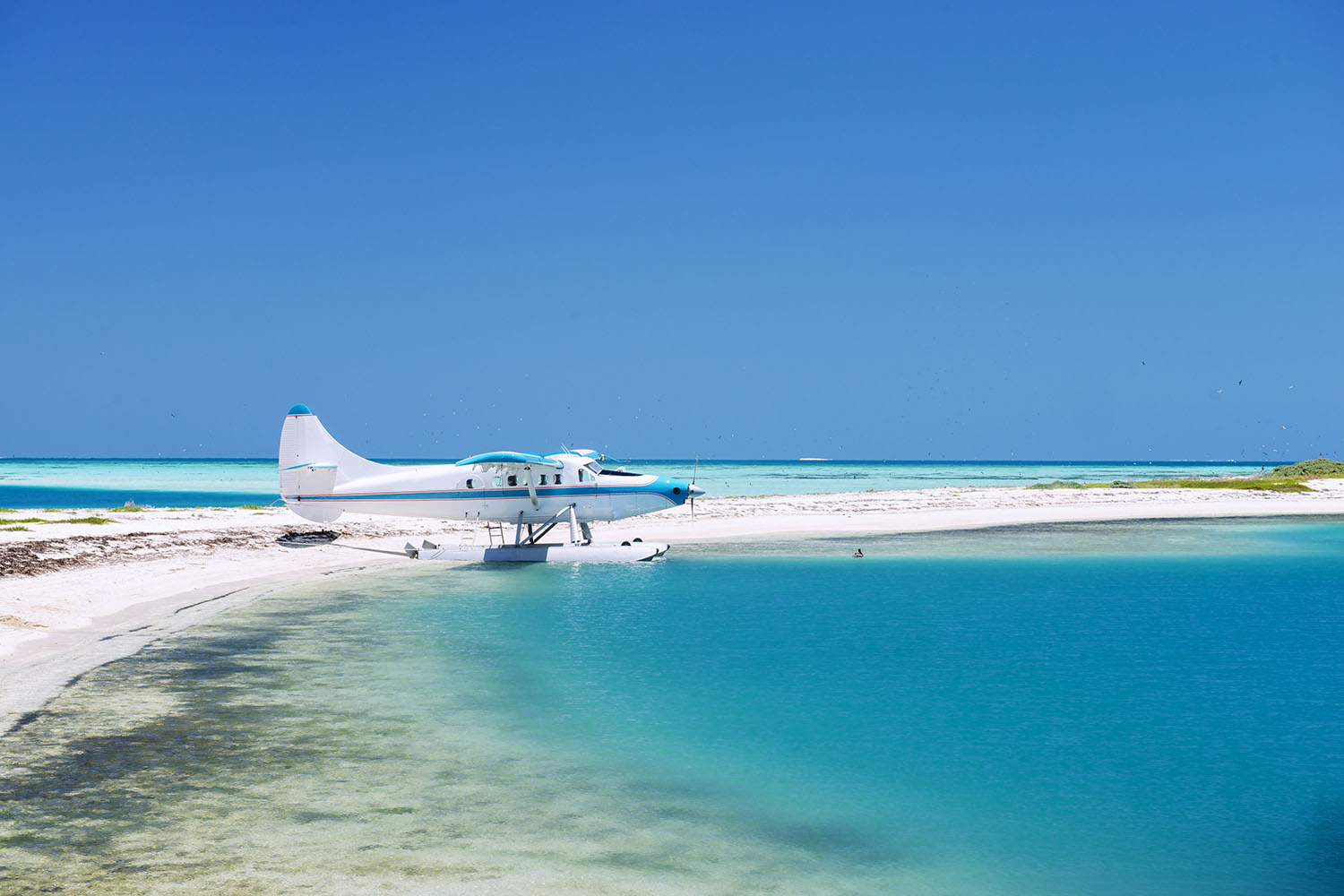 Dry Tortugas Florida iStock-170094620 1500x1000