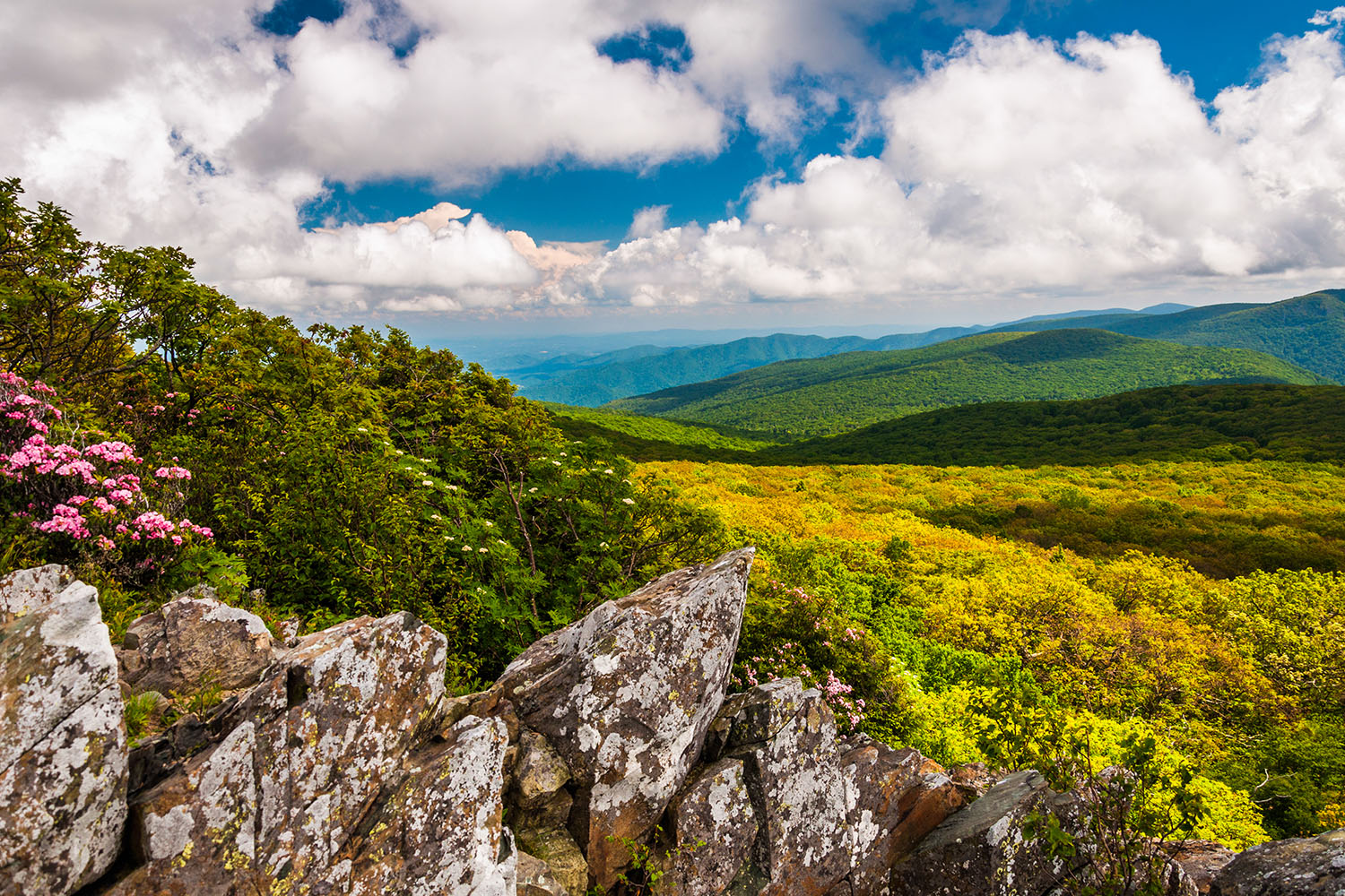 shenandoah shutterstock_146652008 1500x1000