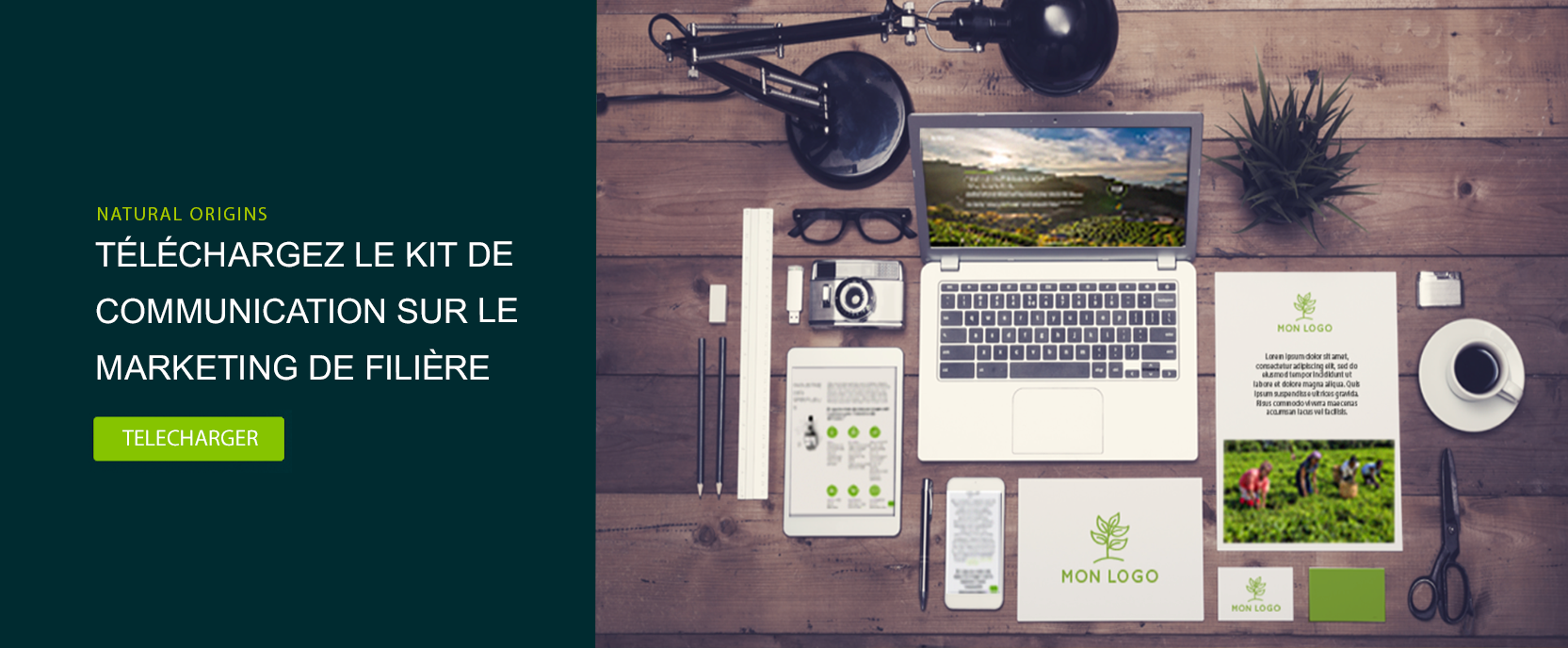 CTA - Télécharger le kit sur le marketing de filière