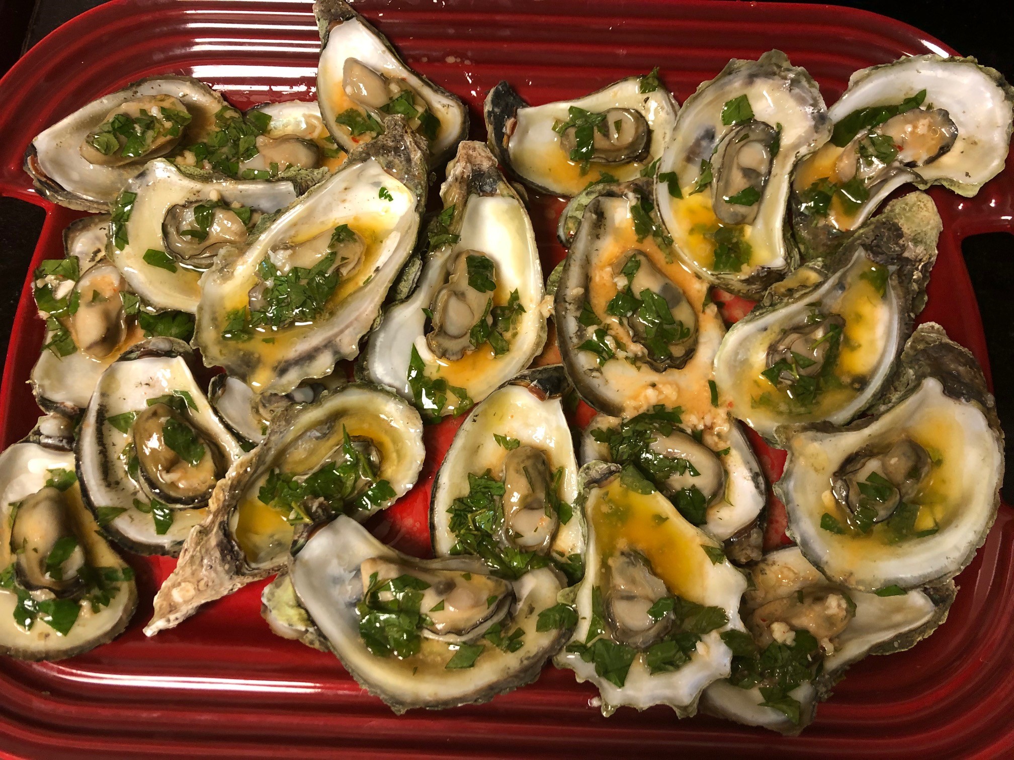 Steamed Oysters in the Instant Pot-image