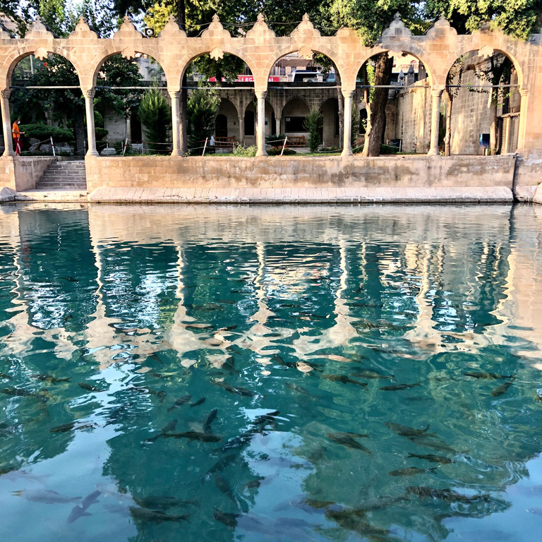 Bassin de poissons sacrés à Sanliurfa, Turquie