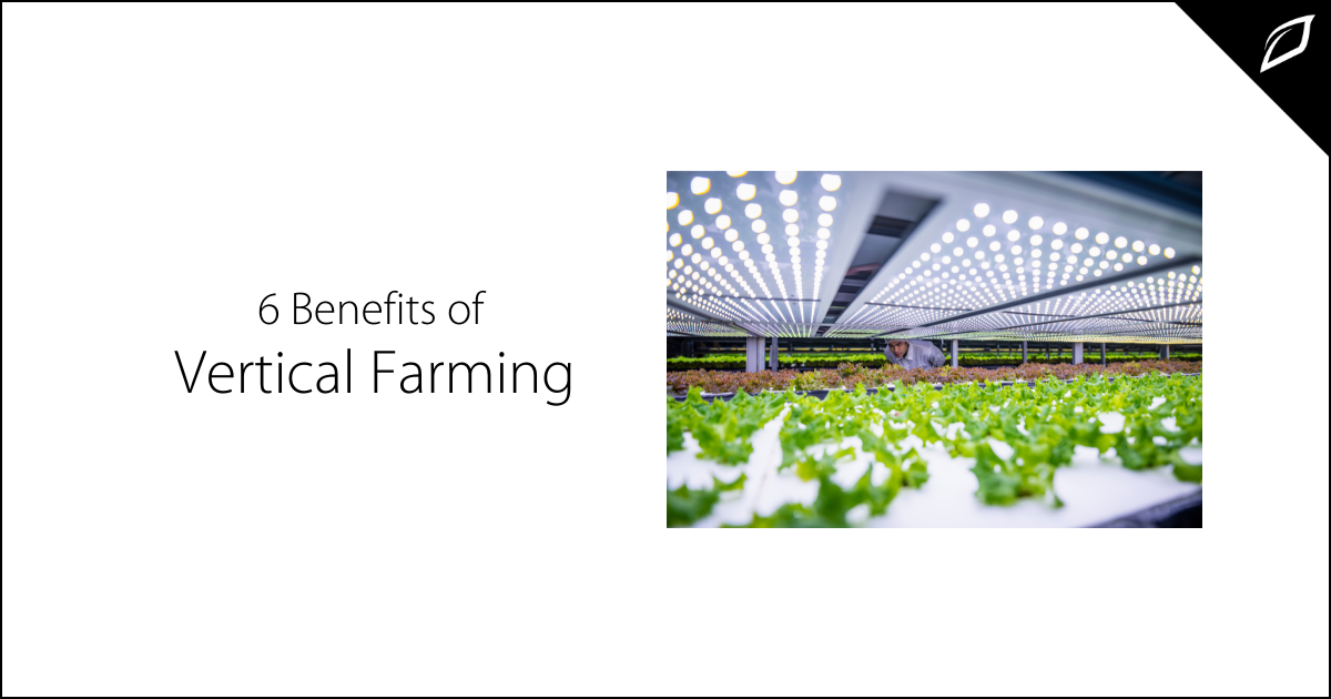 6 Benefits of Vertical Farming-1