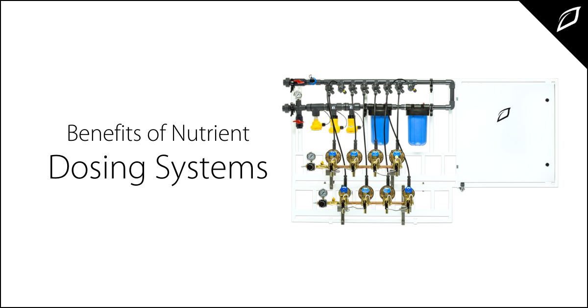 Benefits of Nutrient Dosing Systems | Nutrient Dosing | Growlink