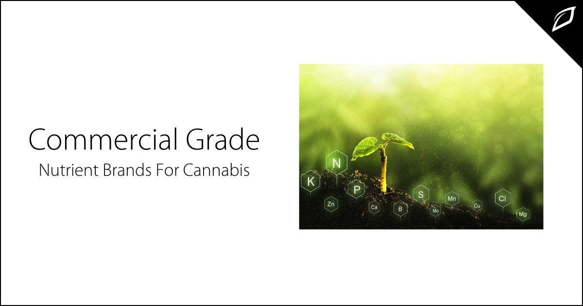 Commercial Grade Nutrient Brands For Cannabis