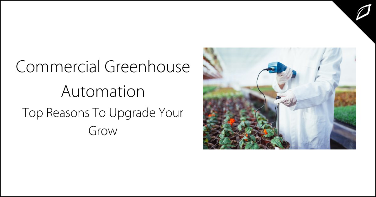 Commercial Greenhouse Automation