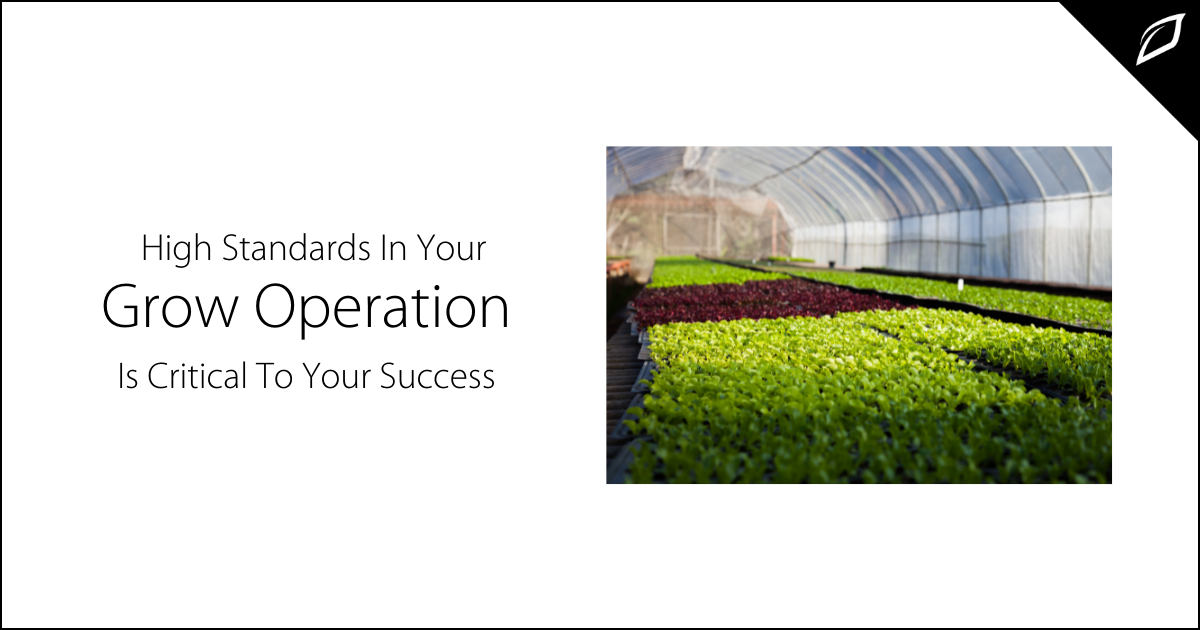 High Standards In Your Grow Operation is Critical To Your Success