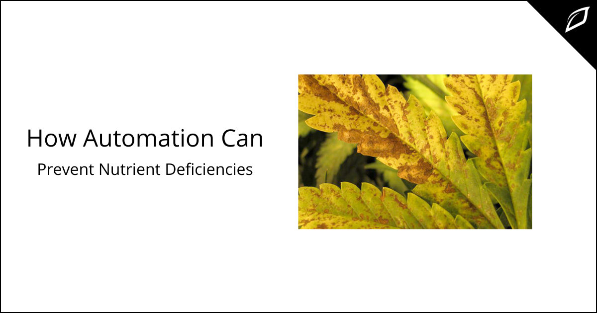 How Automation Can Prevent Nutrient Deficiencies