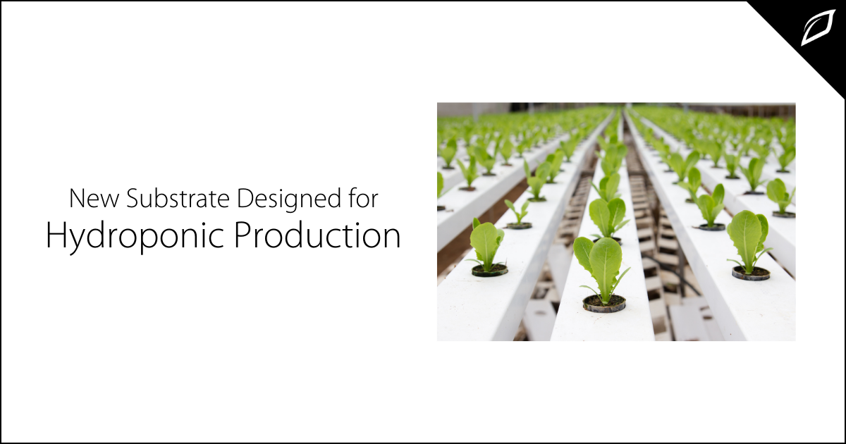 New Substrate Designed for Hydroponic Production