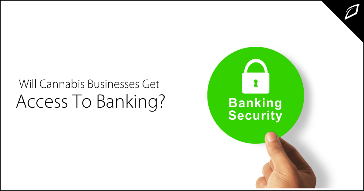 Will Cannabis Businesses Get Access To Banking? | Growlink