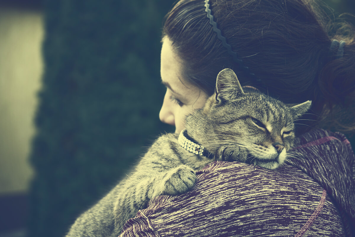 03_FELIWAY _ Calma a tu gato 7 consejos para tu gato ansioso 2