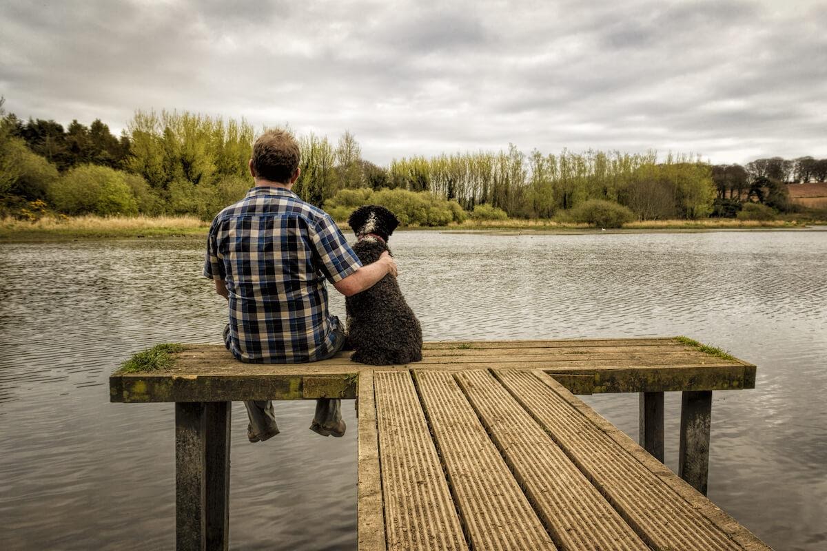 Amicizia tra uomo e cane