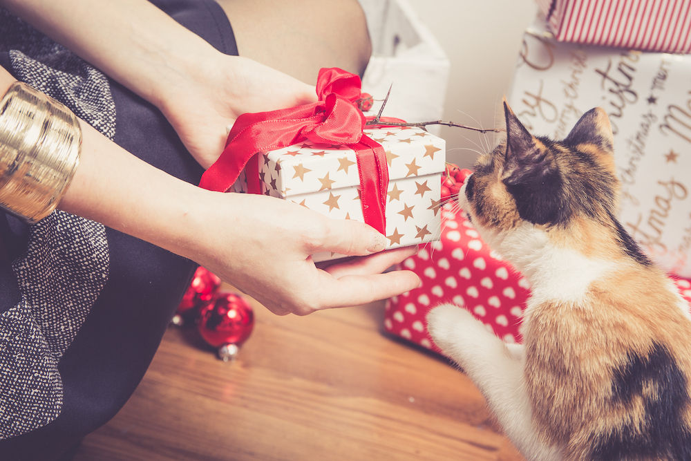 cadeau de noël pour chat