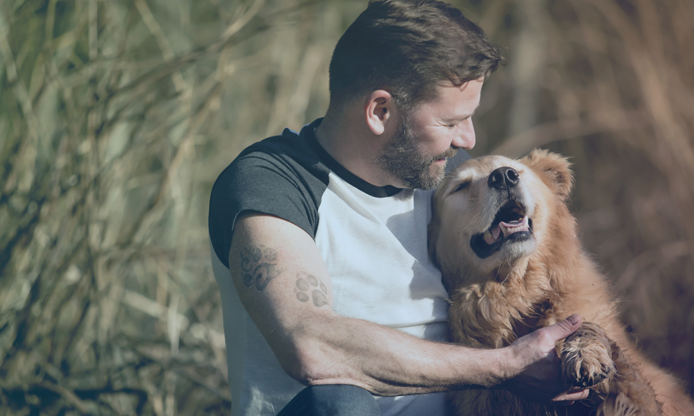 A happy dog playing with a human