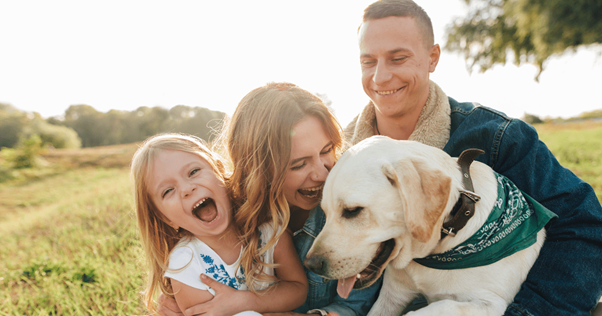 Dare una nuova casa a un cane