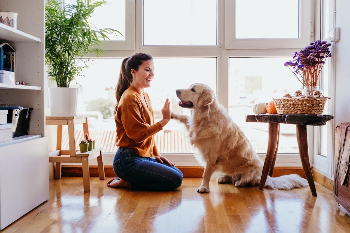 Dog and owner at home