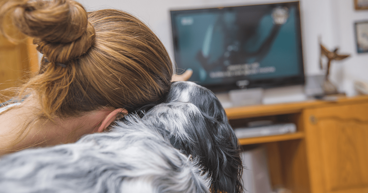 dog with owner watching tv