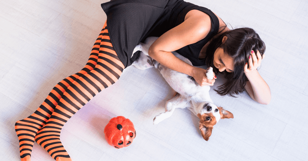 dog with owner in halloween fancy dress