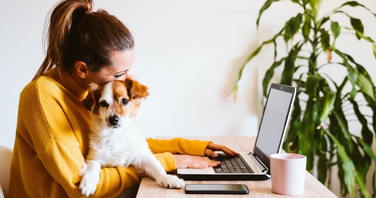 taking a dog to work