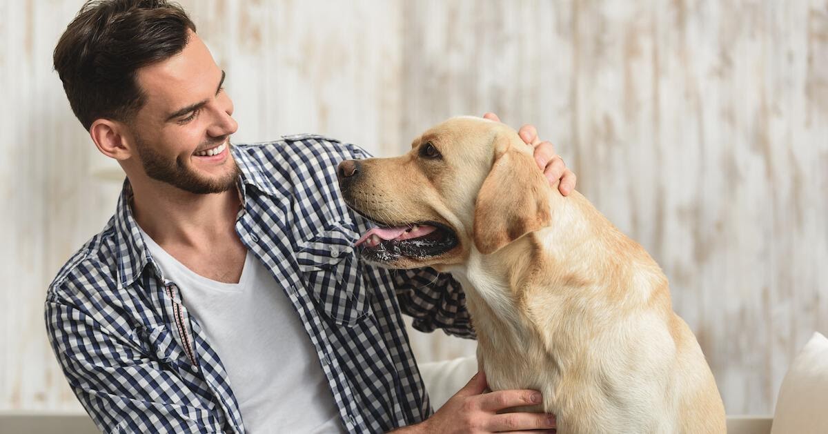 Motivi per cui il cane ansima