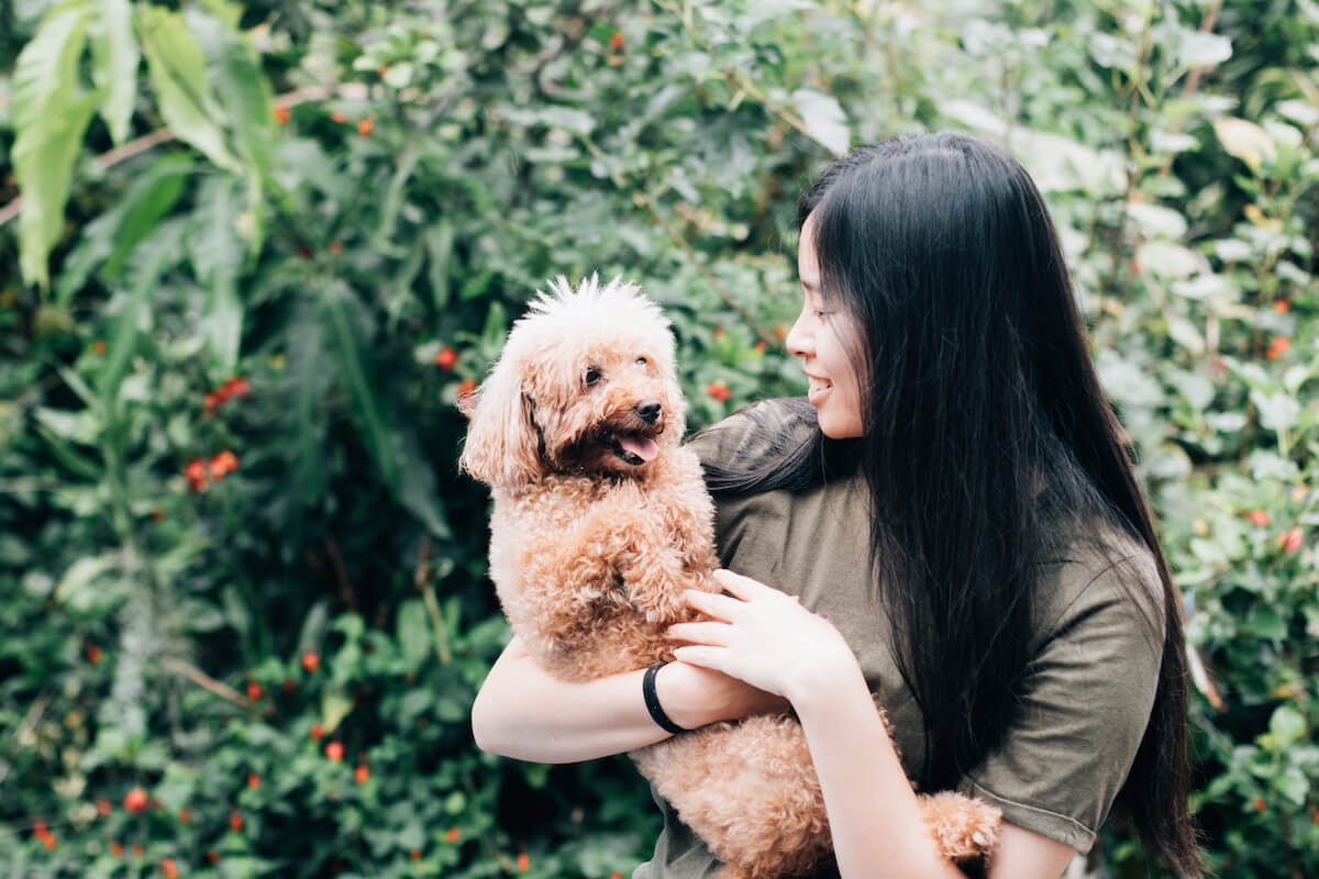 cute puppy with female owner Dogs behaviour changes